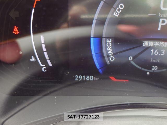 Lexus NX 2023-05 7221067-13