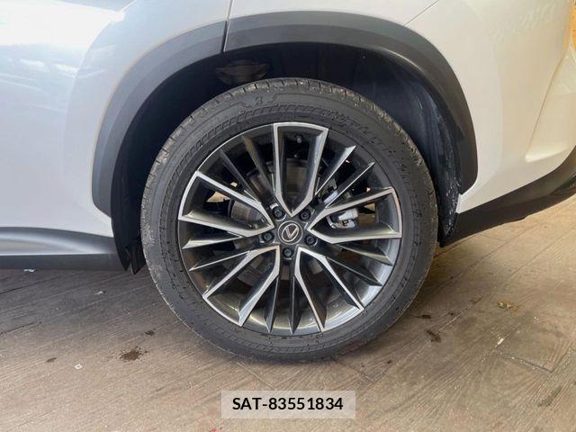 Lexus NX 2023-05 7221058-15
