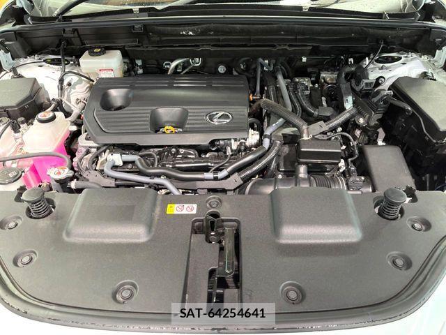 Lexus NX 2024-08 7221082-17