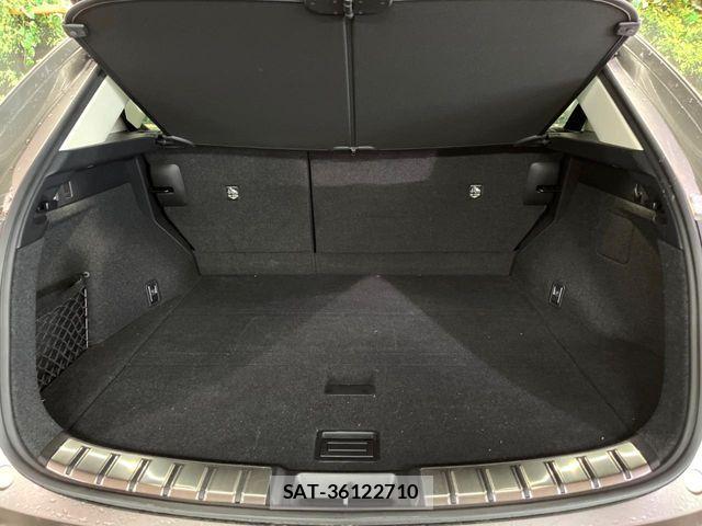 Lexus NX 2023-04 7221057-12
