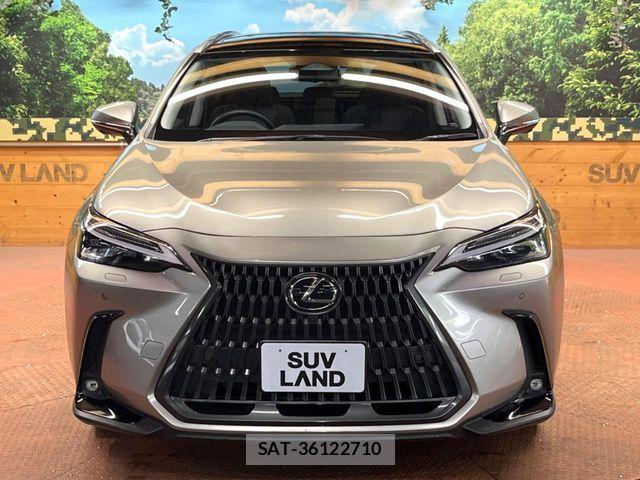 Lexus NX 2023-04 7221057-15