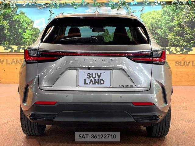 Lexus NX 2023-04 7221057-16