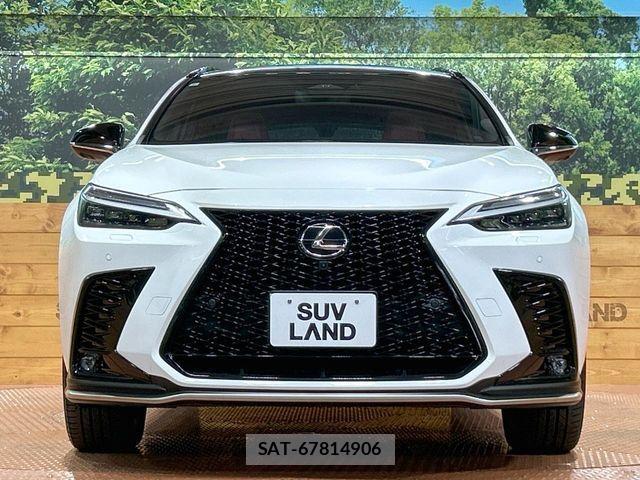 Lexus NX 2023-08 7251337-13