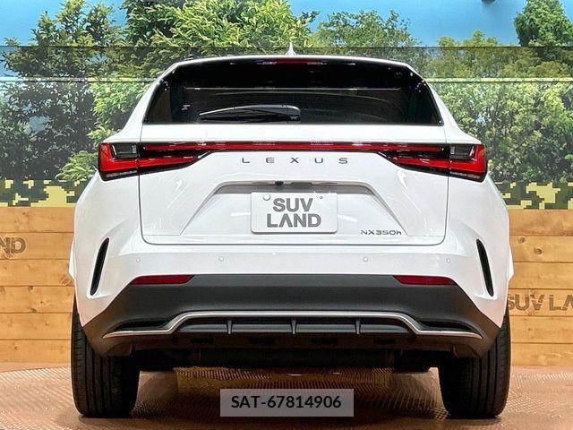 Lexus NX 2023-08 7251337-14