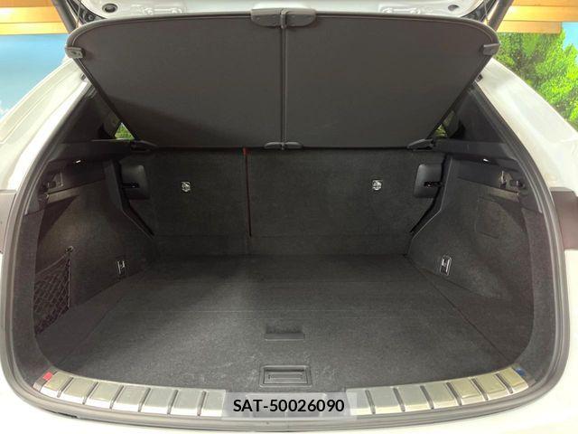 Lexus NX 2021-11 7251345-9