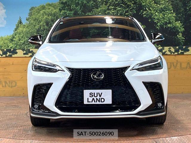 Lexus NX 2021-11 7251345-13