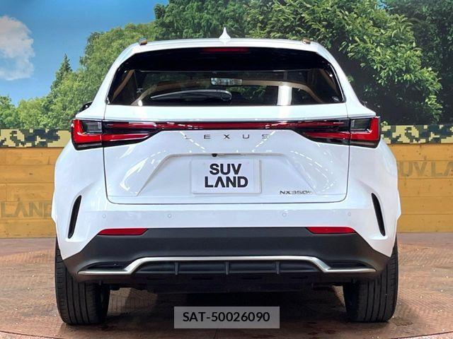 Lexus NX 2021-11 7251345-14