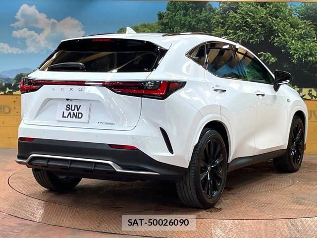 Lexus NX 2021-11 7251345-16