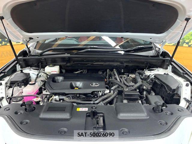Lexus NX 2021-11 7251345-17