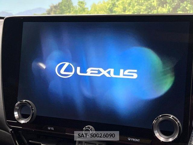 Lexus NX 2021-11 7251345-4