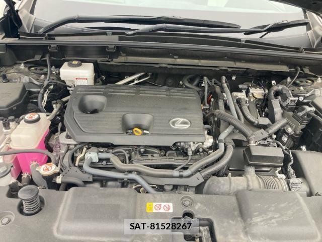 Lexus NX 2022-01 7251346-12