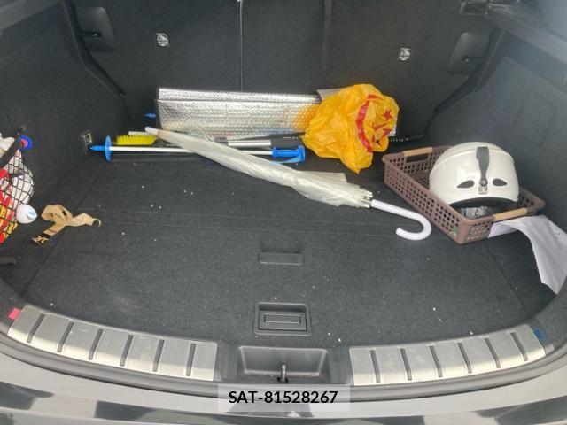Lexus NX 2022-01 7251346-13