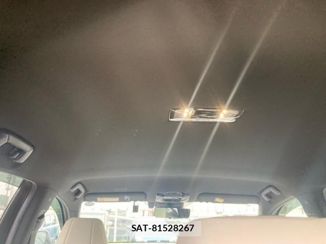 Lexus NX 2022-01 7251346-14
