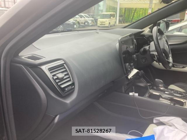Lexus NX 2022-01 7251346-19
