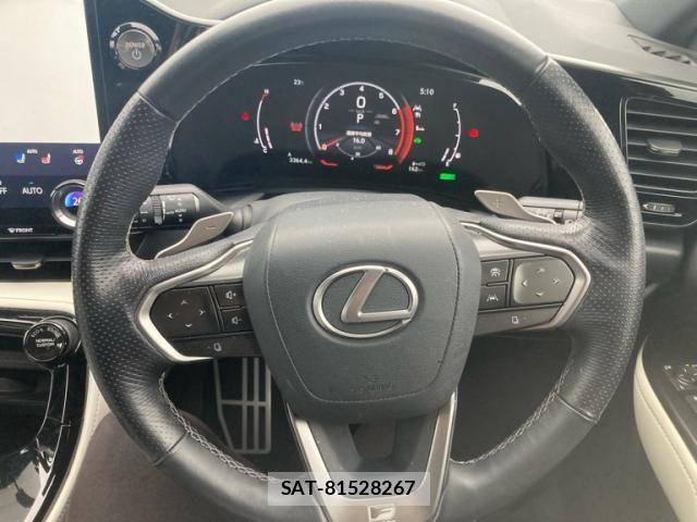 Lexus NX 2022-01 7251346-21