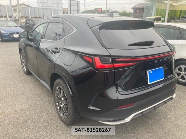 Lexus NX 2022-01 7251346-3