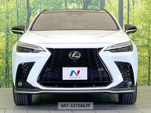Lexus NX 2023-10 7251342-12