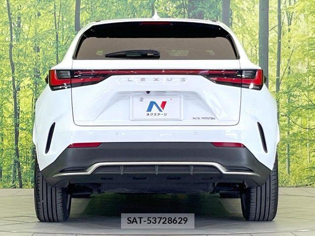 Lexus NX 2023-10 7251342-13