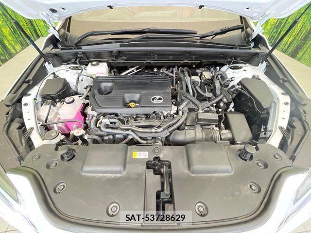 Lexus NX 2023-10 7251342-16