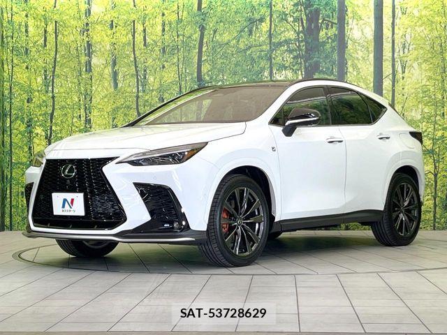 Lexus NX 2023-10 7251342-19