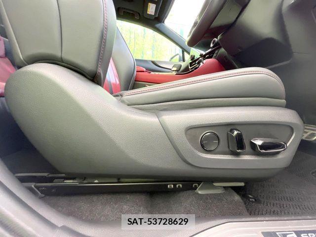 Lexus NX 2023-10 7251342-6