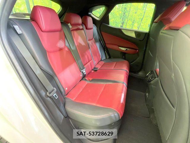 Lexus NX 2023-10 7251342-8