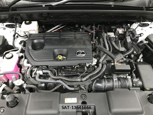 Lexus NX 2023-02 7251338-29