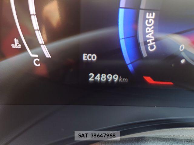 Lexus NX 2025-01 7251339-14