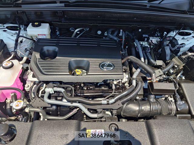 Lexus NX 2025-01 7251339-24