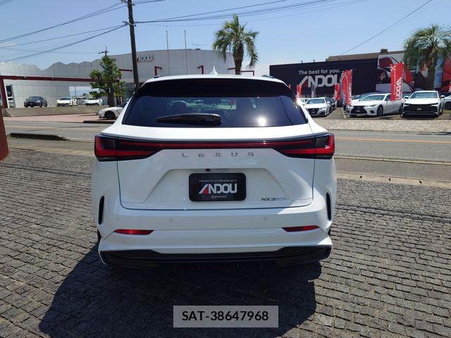 Lexus NX 2025-01 7251339-6