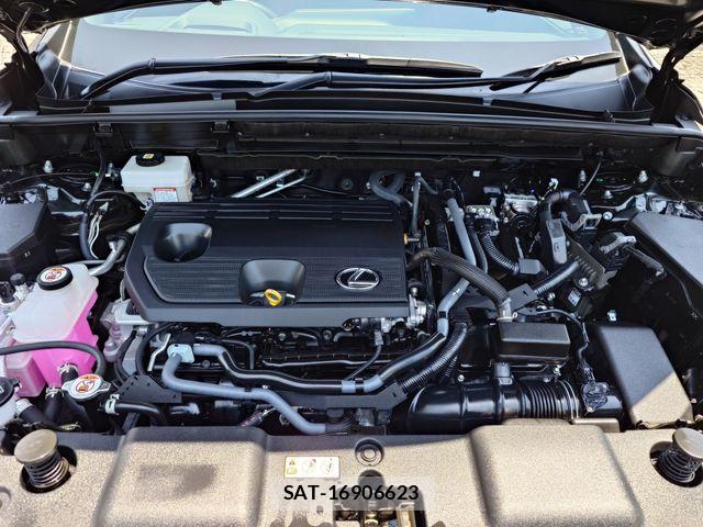 Lexus NX 2023-05 7251348-23