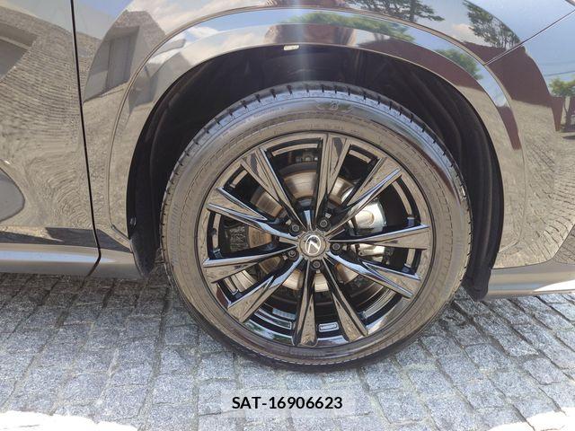 Lexus NX 2023-05 7251348-7