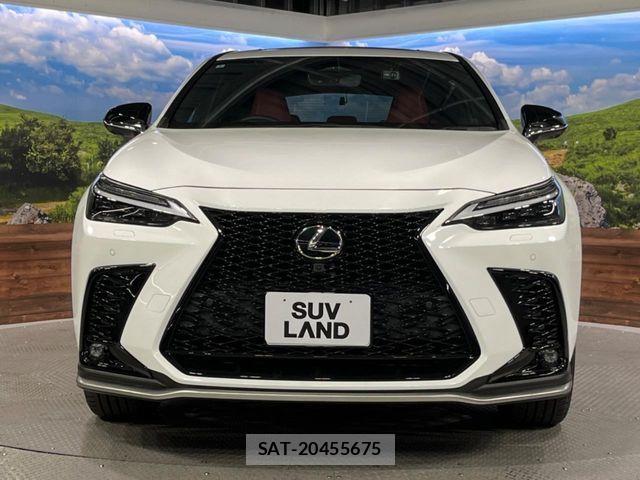 Lexus NX 2022-01 7251347-13