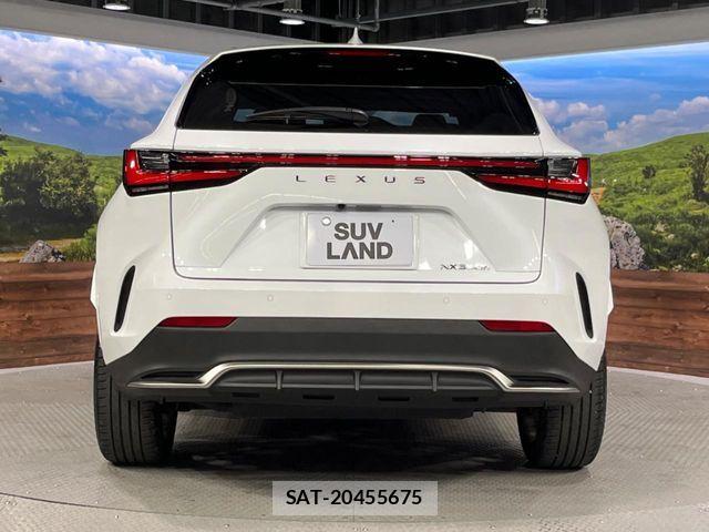 Lexus NX 2022-01 7251347-14