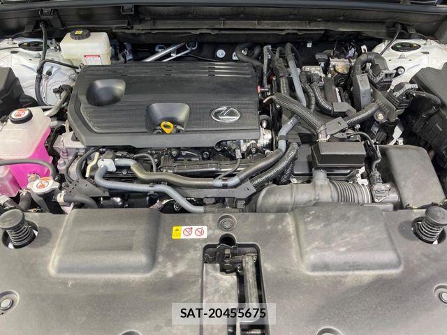 Lexus NX 2022-01 7251347-17