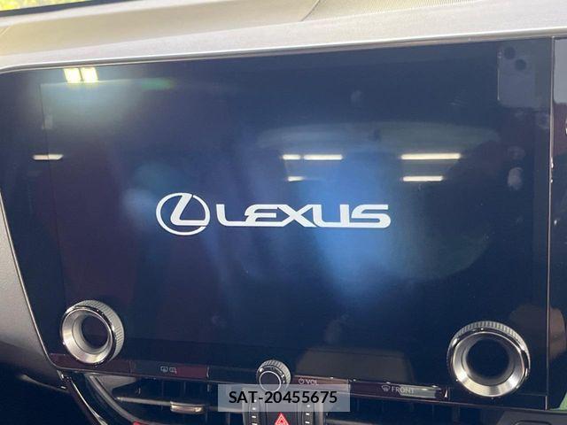 Lexus NX 2022-01 7251347-3