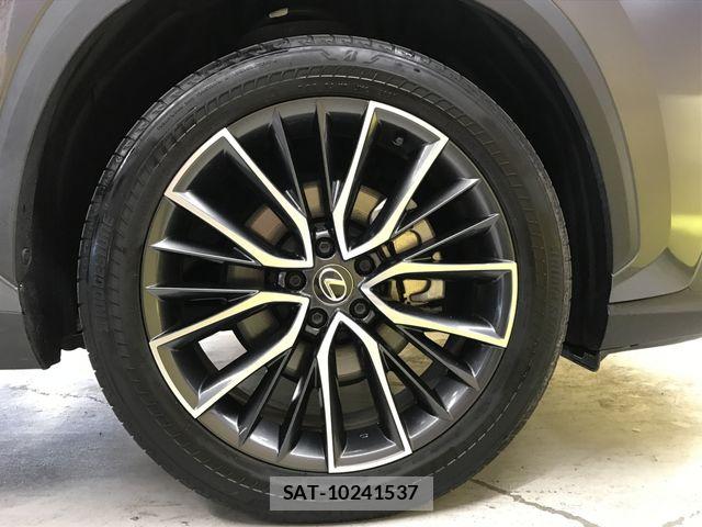 Lexus NX 2023-09 7251350-27