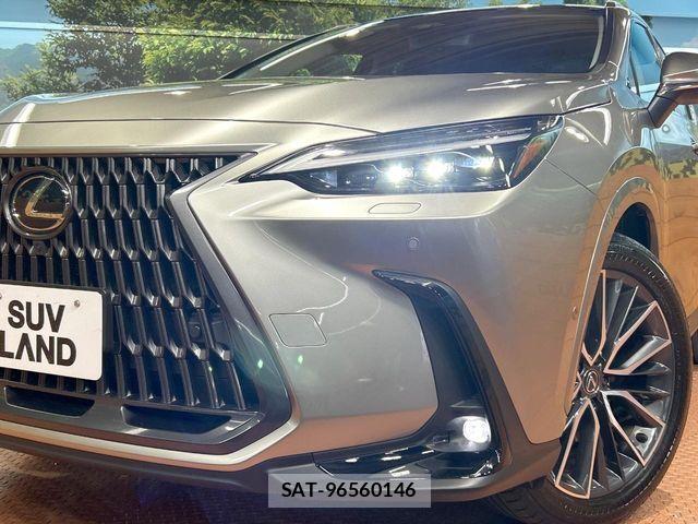 Lexus NX 2024-11 7251343-11