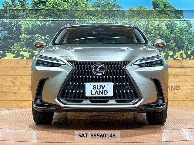 Lexus NX 2024-11 7251343-13