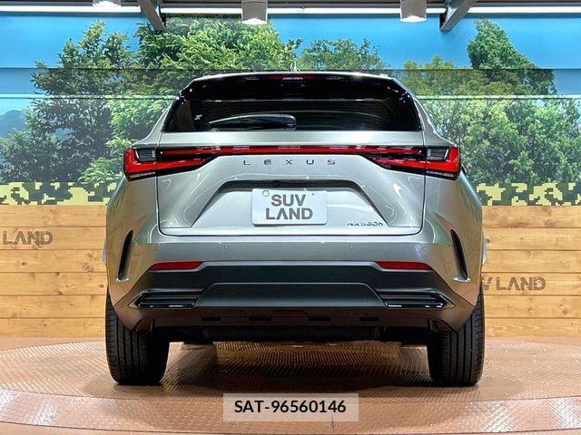 Lexus NX 2024-11 7251343-14