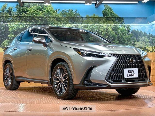 Lexus NX 2024-11 7251343-15