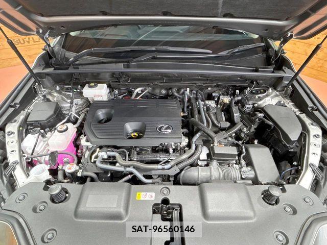 Lexus NX 2024-11 7251343-17