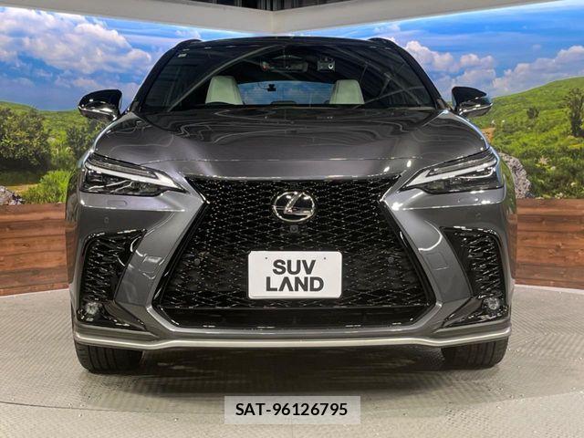 Lexus NX 2023-08 7251344-13
