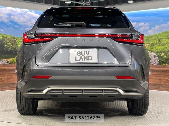 Lexus NX 2023-08 7251344-14