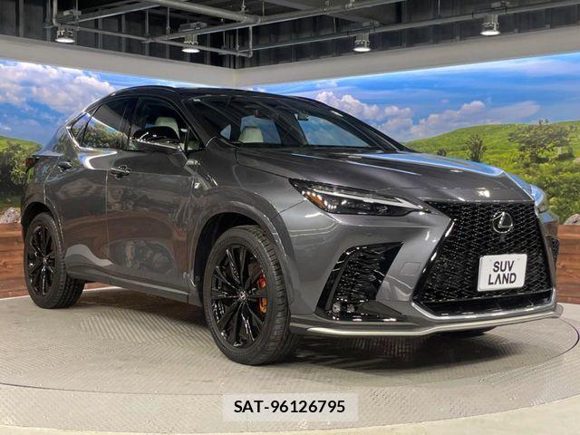 Lexus NX 2023-08 7251344-15