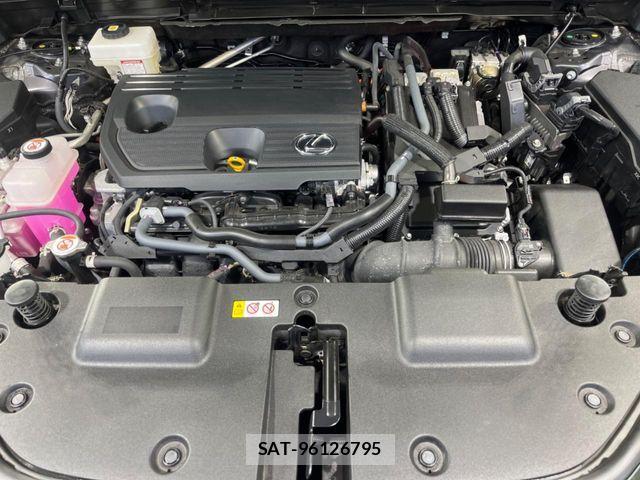 Lexus NX 2023-08 7251344-17