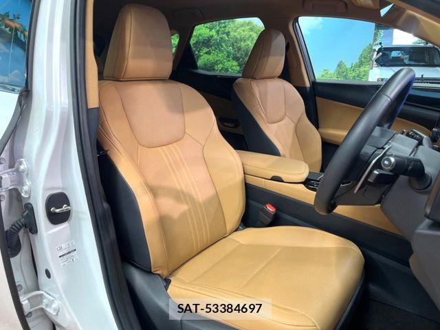 Lexus NX 2024-04 7272239-10