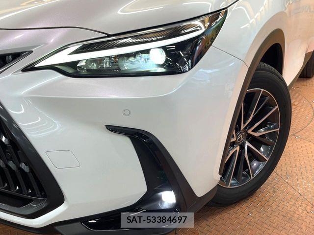Lexus NX 2024-04 7272239-13