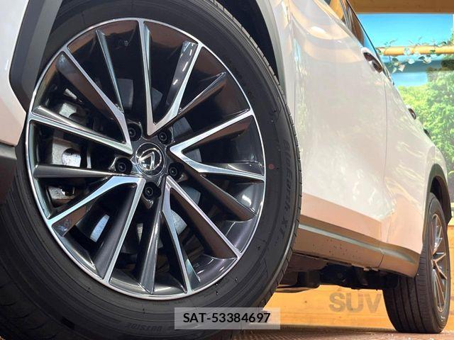 Lexus NX 2024-04 7272239-14