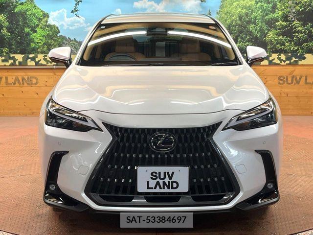 Lexus NX 2024-04 7272239-15